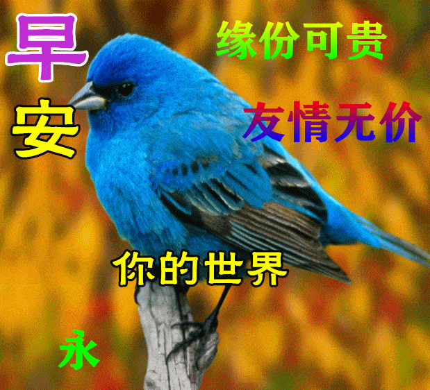 9月12日早上好动态表情图片大全,早晨好动图美图大全