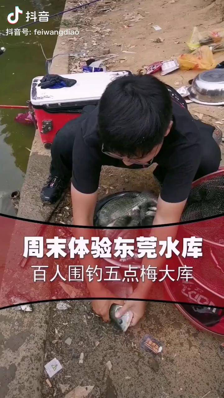 非王钓李闯钓鱼 钓罗非