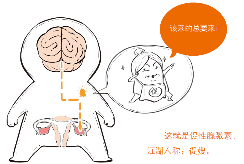 混子哥出新书了!这次"半小时"解决青春期困扰_漫画