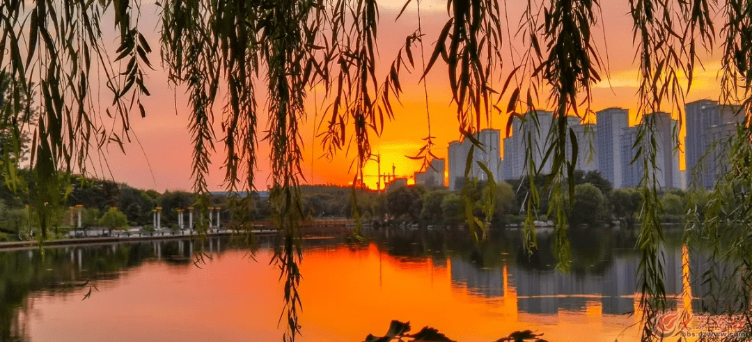 真美!枣庄市中区晚霞映东湖 景色美如画