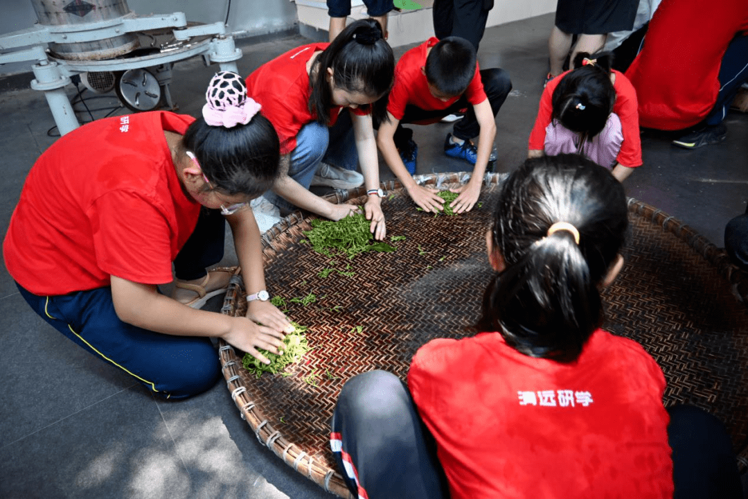 传承传统美德——清远市中小学生踏上红色研学之旅