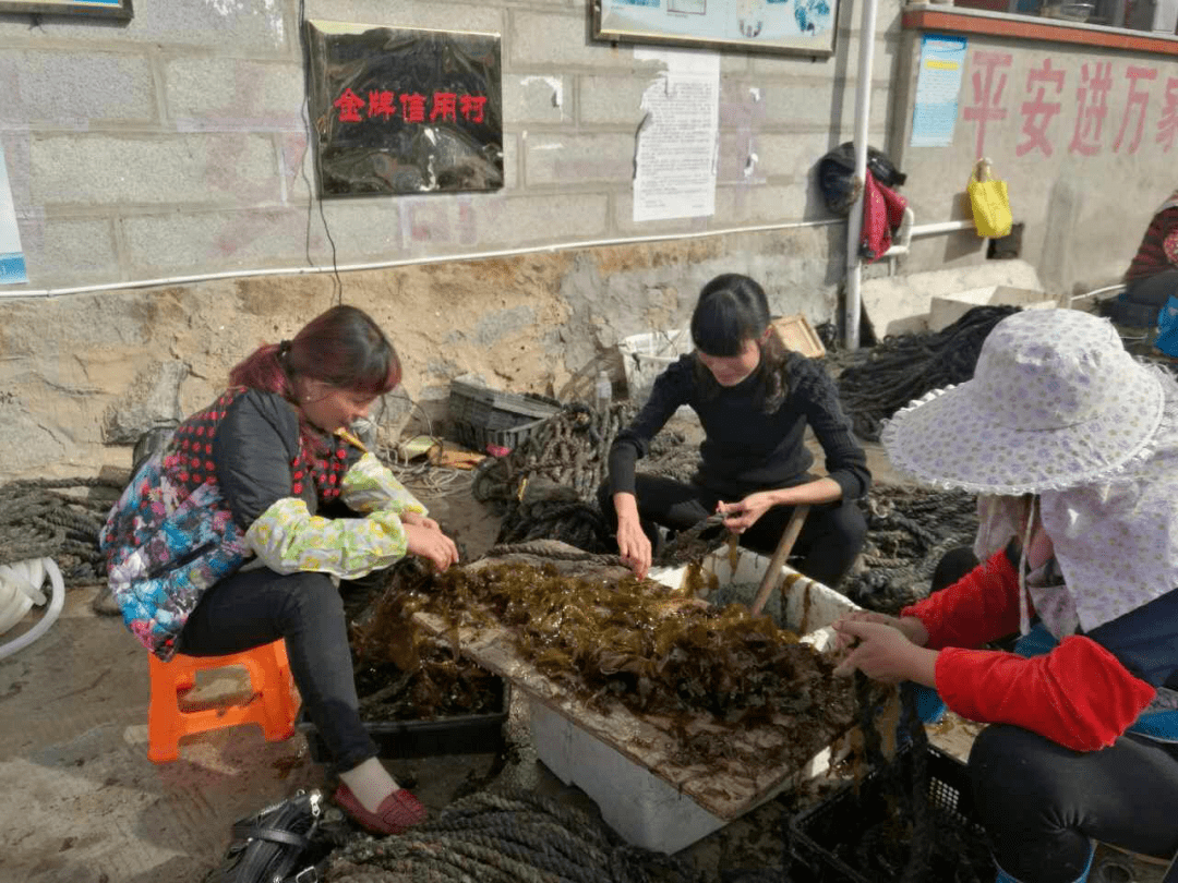 百个奋斗故事57肖贤梅扎根海岛奉献青春