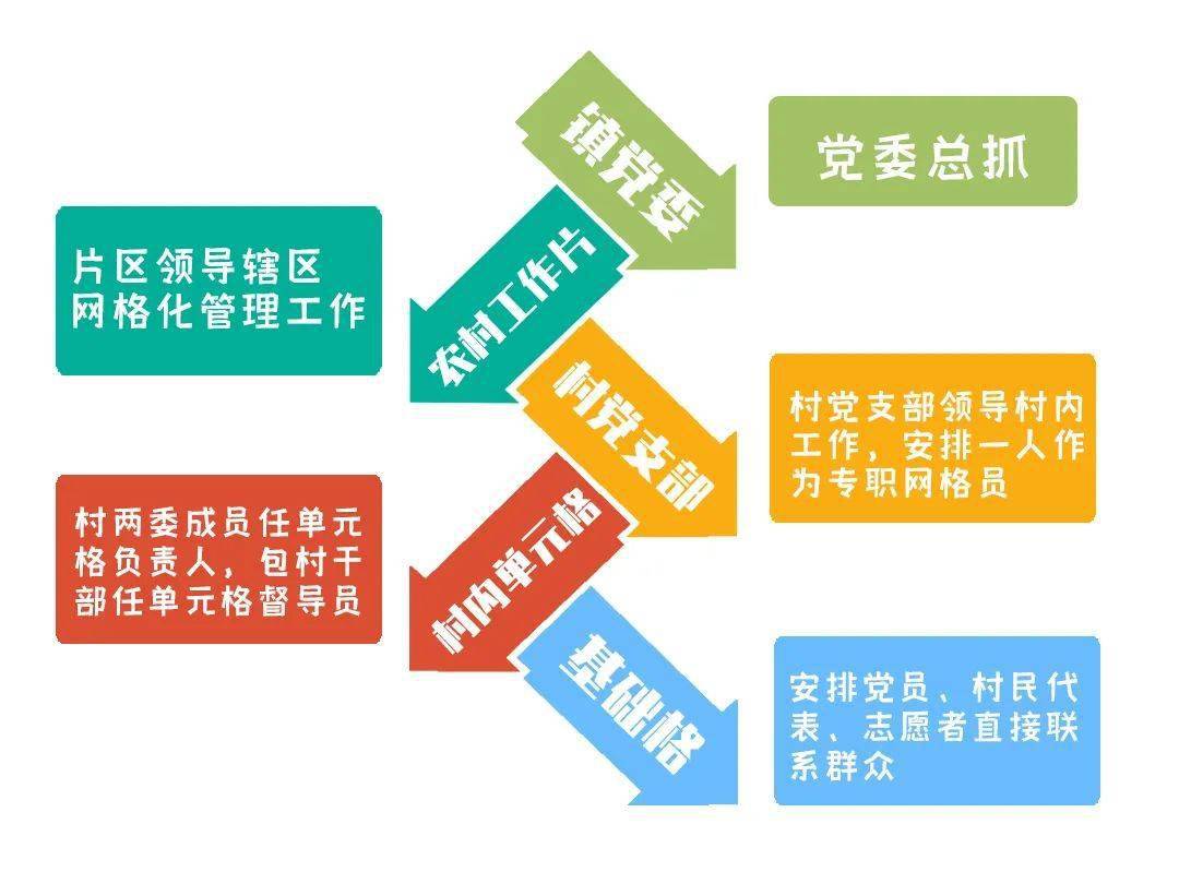 做实党建综合体 探索乡村振兴新模式_党组织