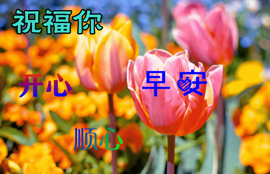 人走再远友谊在,大树连根,朋友连心,好友们,早上好
