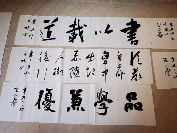 宝鸡高新十小五年级一班学生毕梦涵是第一次在现场看书画名家挥毫