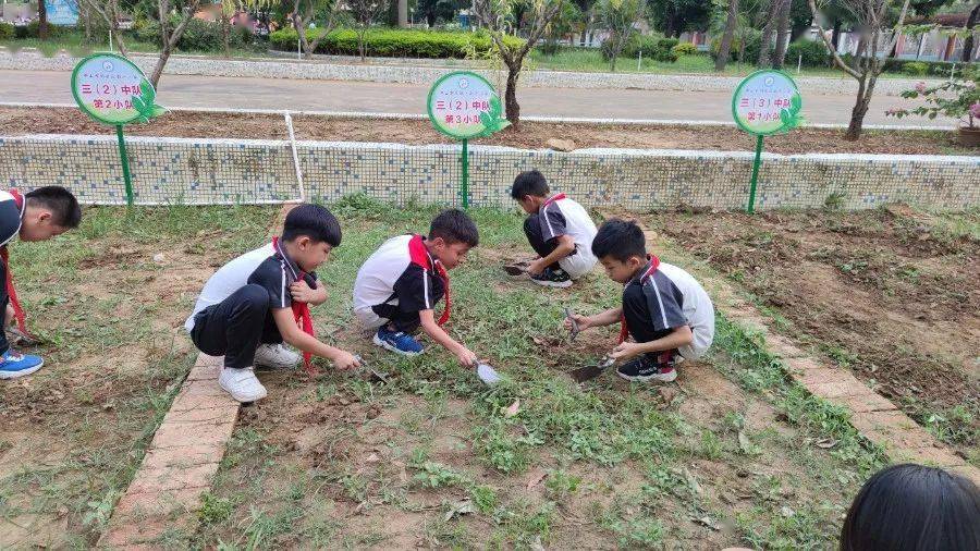 劳动最光荣南沙小学开展校园劳动实践基地活动