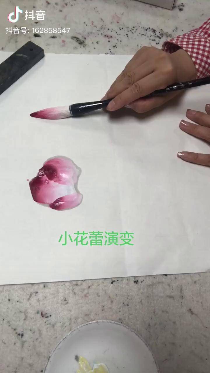 小花蕾演变
