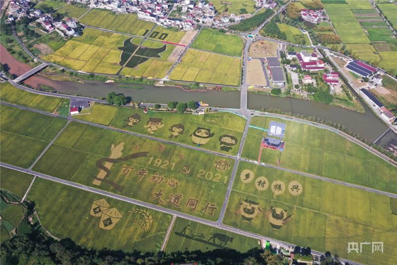 建德市稻香小镇(央广网发 孙力图摄)活动现场(央广网发 范胜利摄)央广