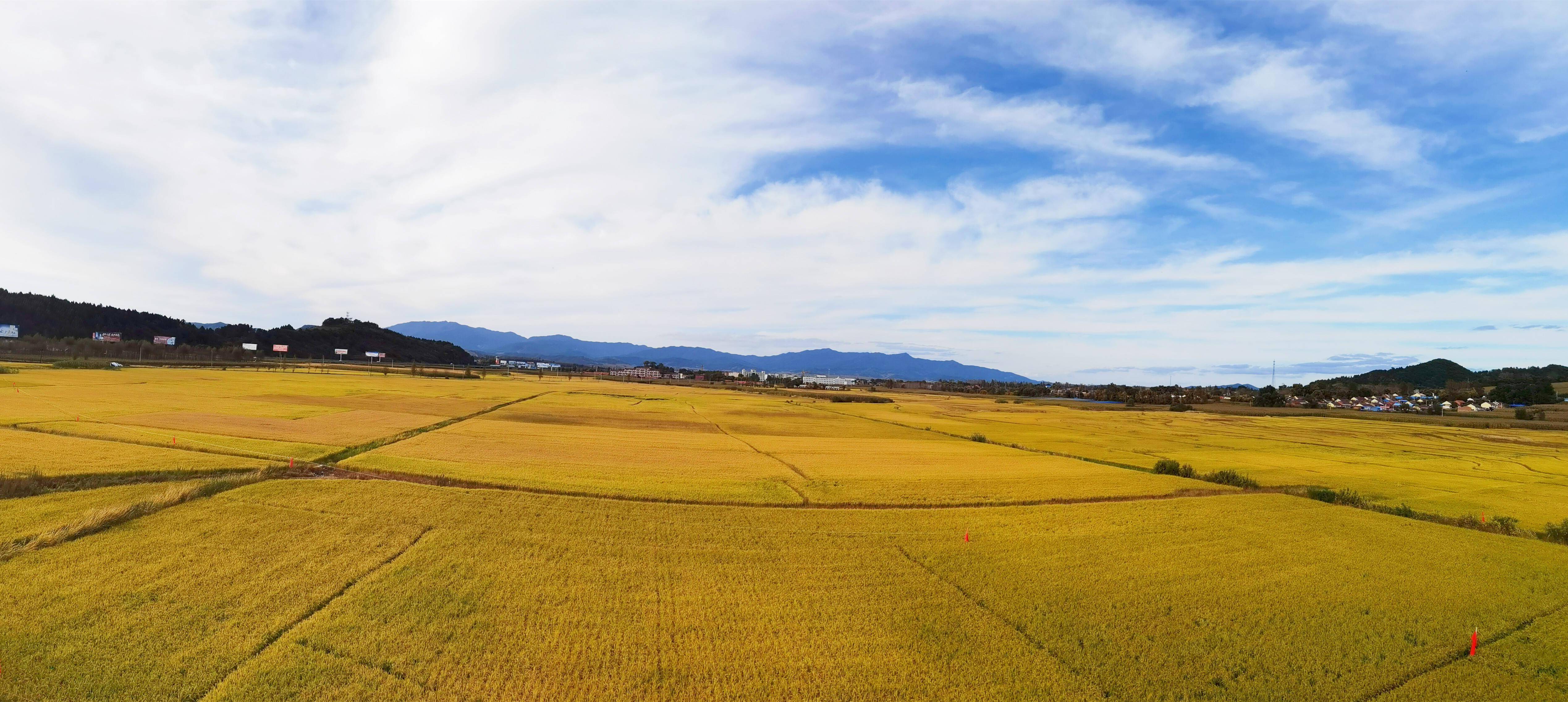 礼赞丰收节,看通化的"三农嘉年华"_田野