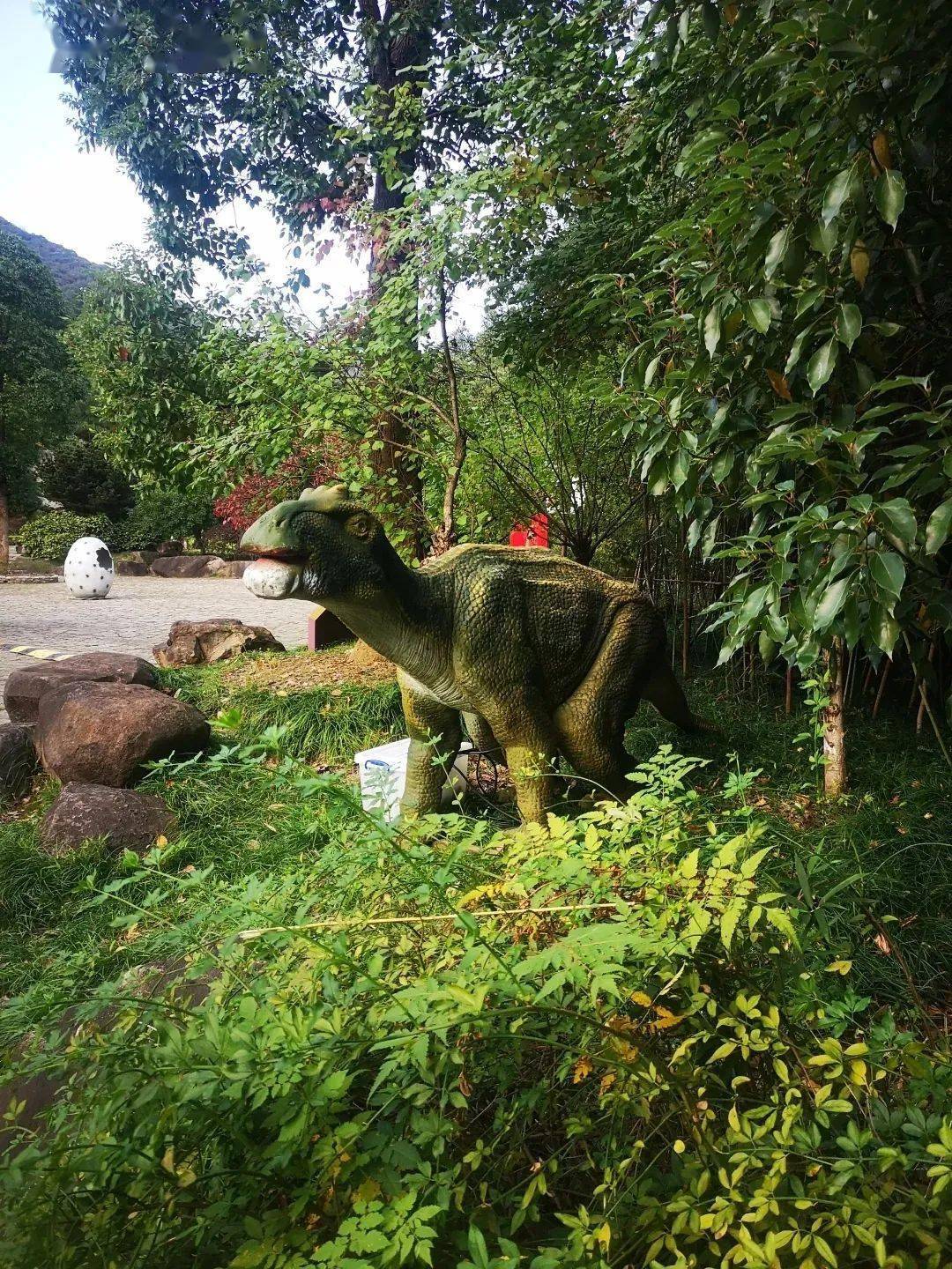 在江苏大阳山森林公园文殊寺景区盛大启幕!