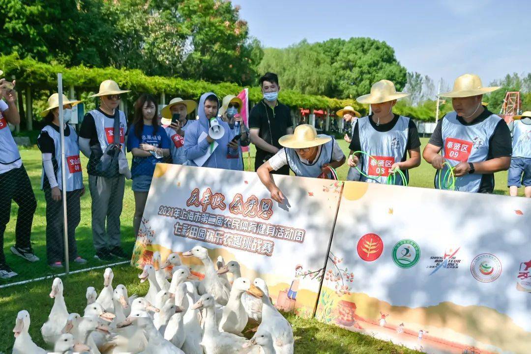 【动态】徒手摸鱼,田间套鸭……他们在嘉定的田间地头