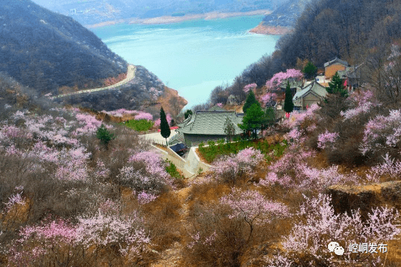 靓!_柳湖