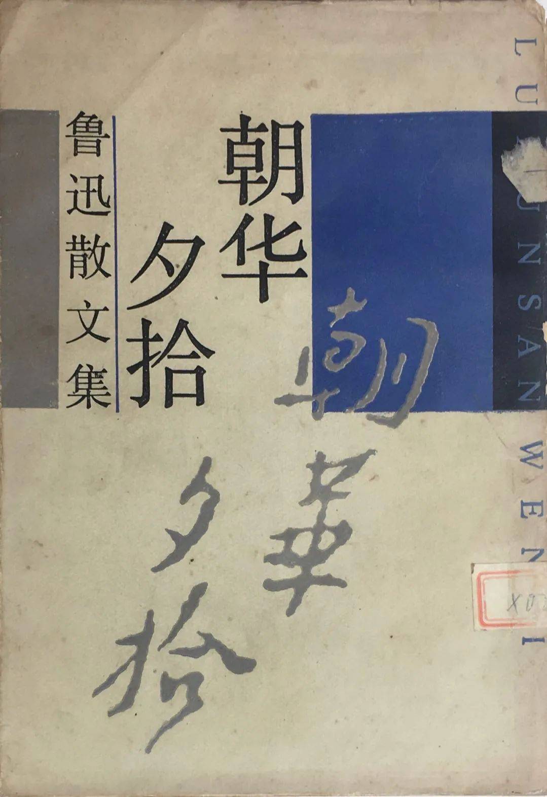 "其实我还有一点野心"丨纪念鲁迅诞辰140周年专题展览