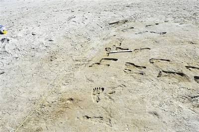 足迹|北美最早人类脚印距今约2.3万年