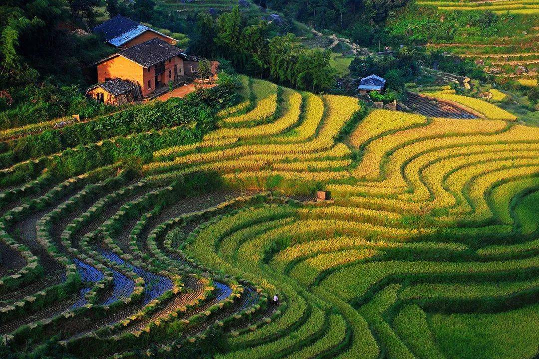 桃源梯田景区