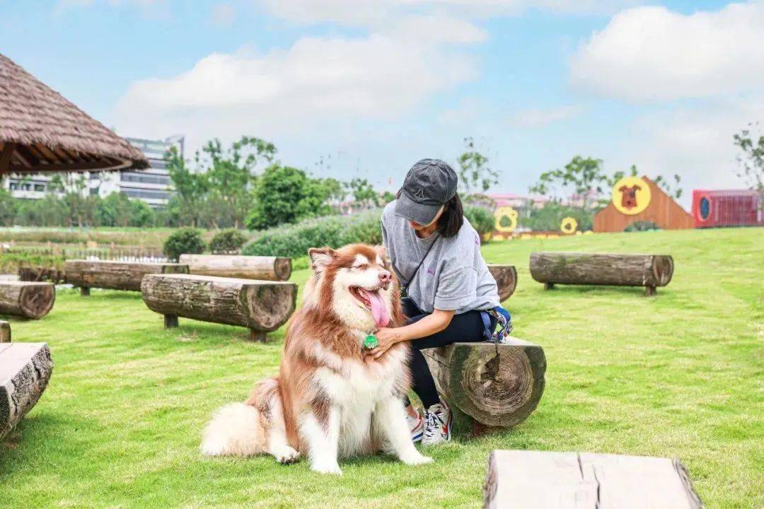 成都首个超大型宠物公园来了