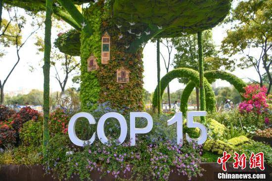 百组立体花坛扮靓春城迎接cop15