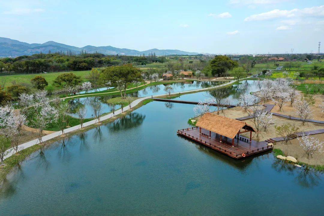 杭州市区→良渚古城遗址公园→瓶窑老街→南山造像→北湖草荡 autumn