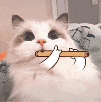 离我远点,ok? | 第212期猫咪表情包