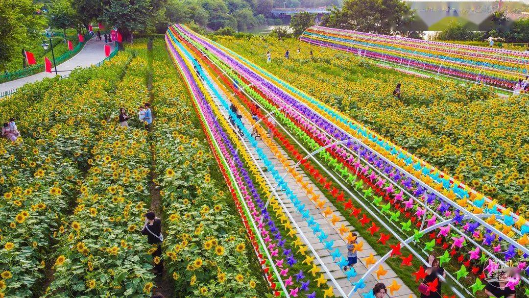 花海公园·【地址】福州花海公园,位于南江滨东大道【交通】乘坐