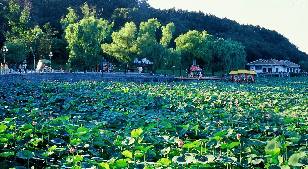 国庆"云"旅游第二站 | 吉林北山风景区_碑林