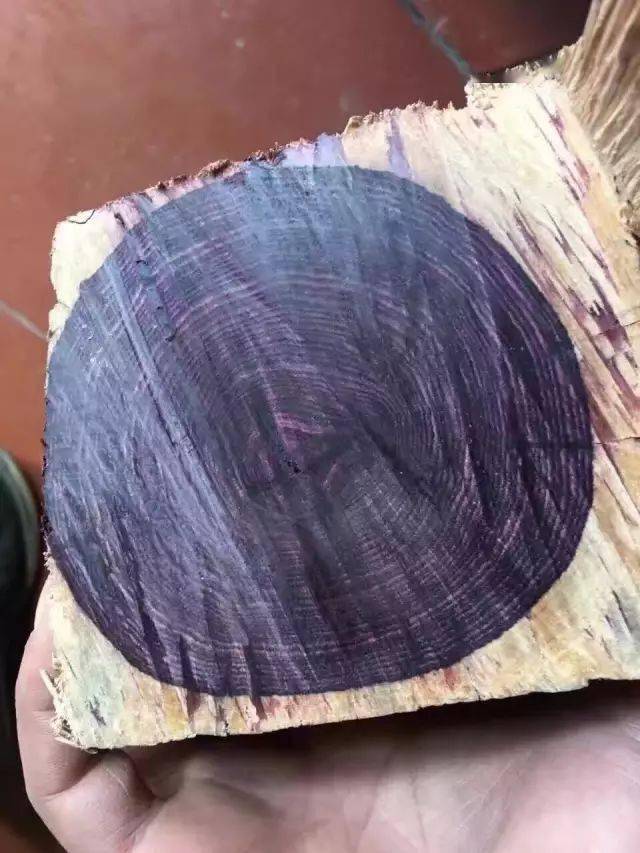 别误把(紫花梨)当作 海南黄花梨