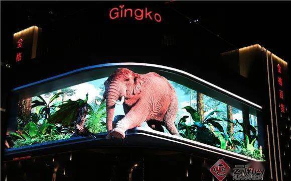 大象又来了昆明街头cop15裸眼3d大屏宣传展示成网红