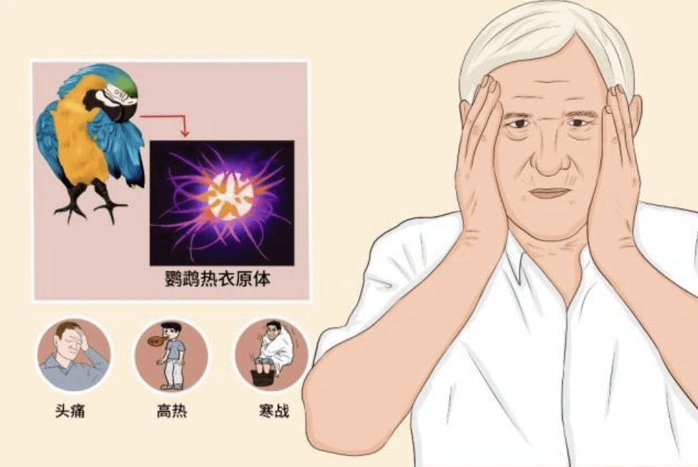 疾控部门提醒…_鹦鹉热