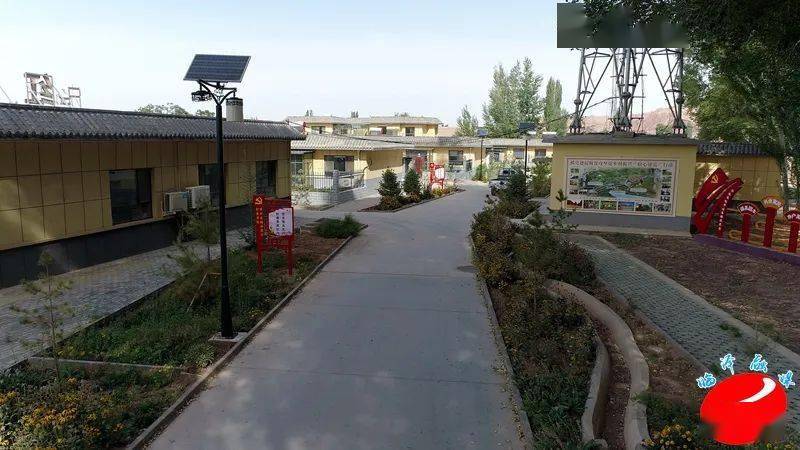 张掖市临泽县:"美丽庭院"助力乡村振兴