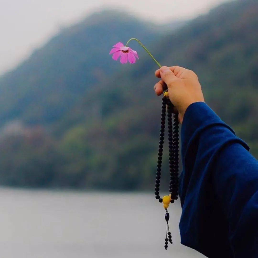 愿你我都能修一份心海,做一个淡泊之人,随心,随缘