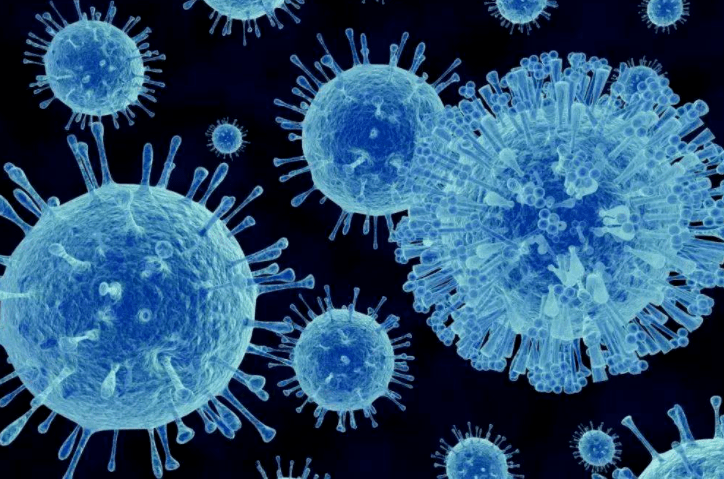 乙型流感病毒和丙型流感