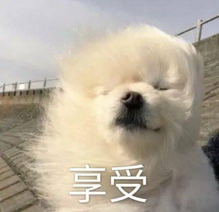 妖风阵阵