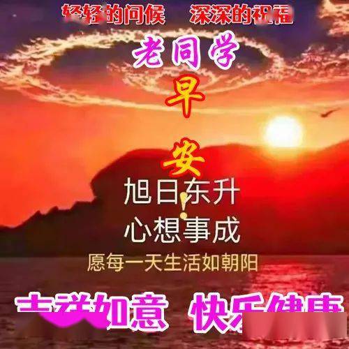 老同学早上好表情包,一杯清茶,一句问候!