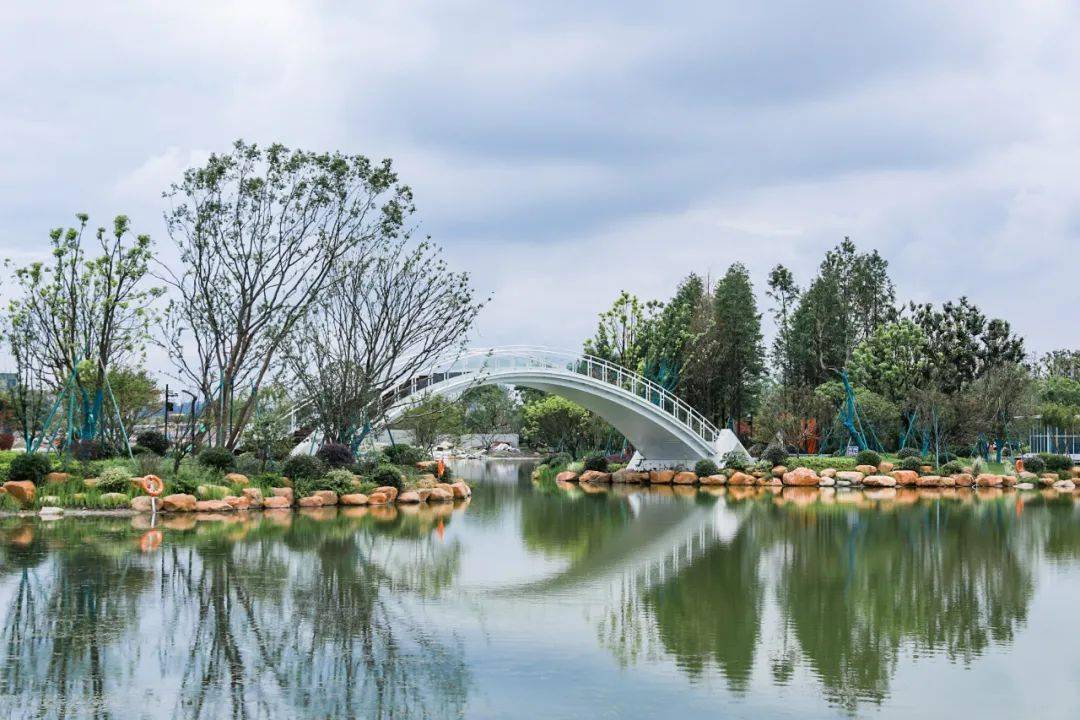 你知道丰收湖吗?它刚成为杭州今年首批市级"美丽河湖"