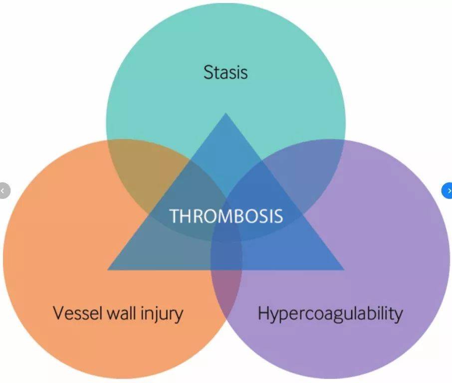 现实中血栓形成往往不是单一因素,因此virchow三角似乎不太合适,或者