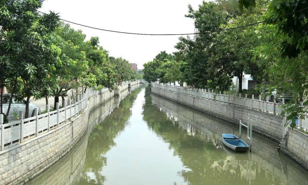 乡村新貌番禺区桥南街草河村重现两岸绿水