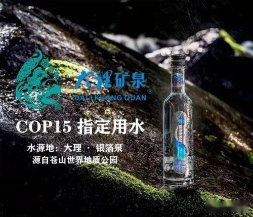 厉害了!大理矿泉水成为cop15上的两个中国样本之一