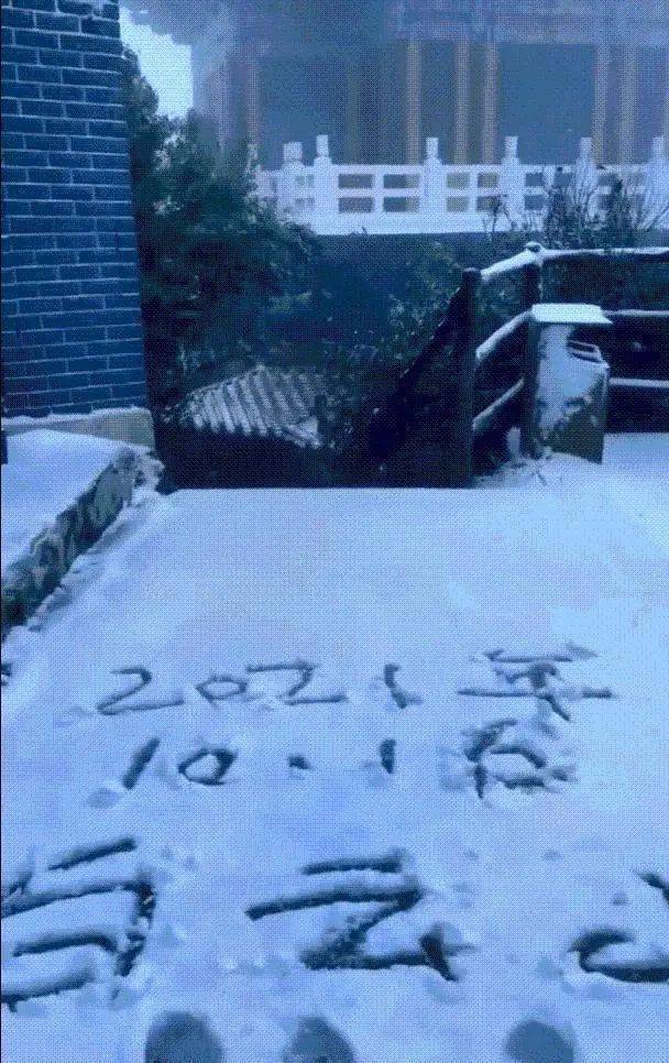 今天,河南下雪了!