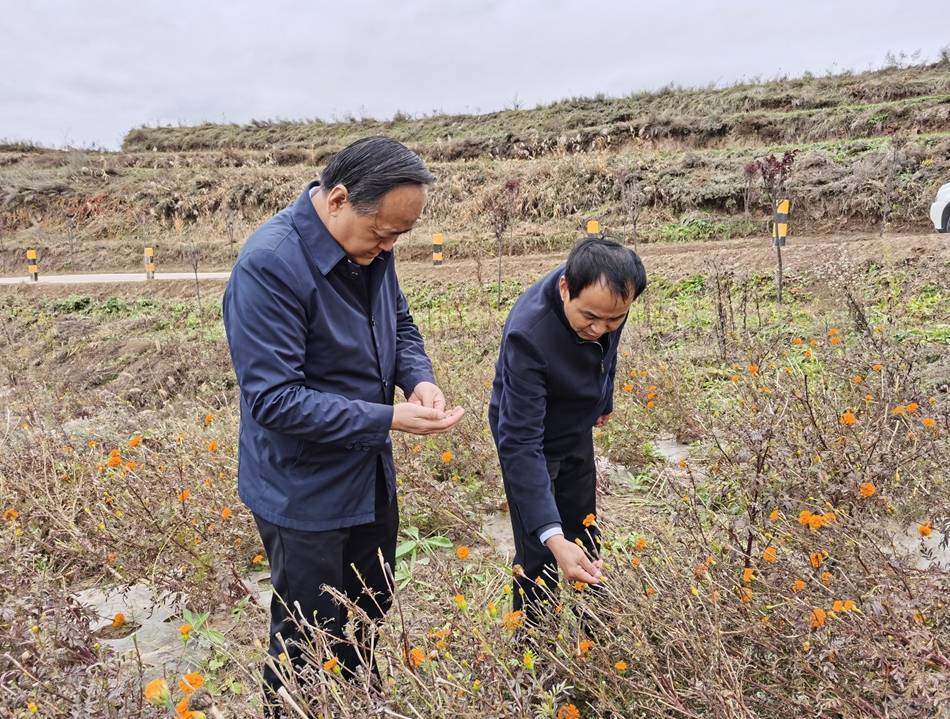 聂卫东督导调研疫情防控等重点工作