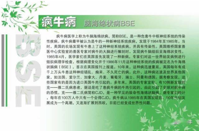 疯牛病不仅在英国广泛流行,而且在其它许多国家和地区亦相继有病例