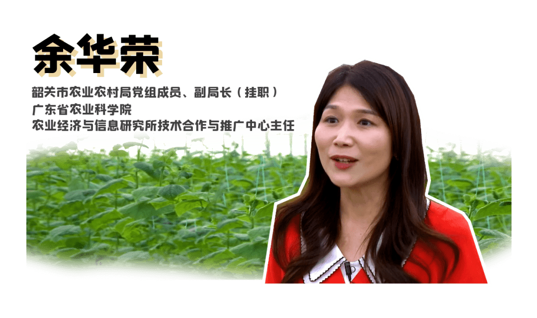 她又美又飒从娘家带资进韶却专心只做一件事