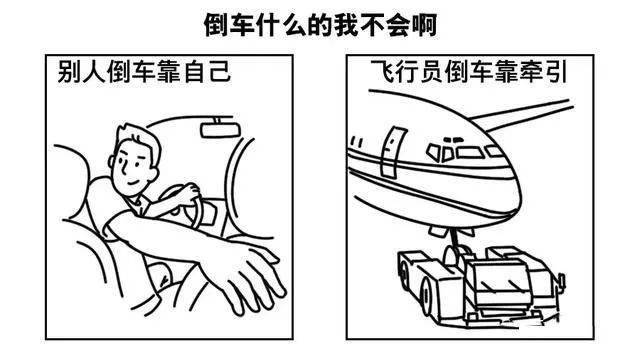 飞行员真的不能开车吗?_搜狐汽车_搜狐网