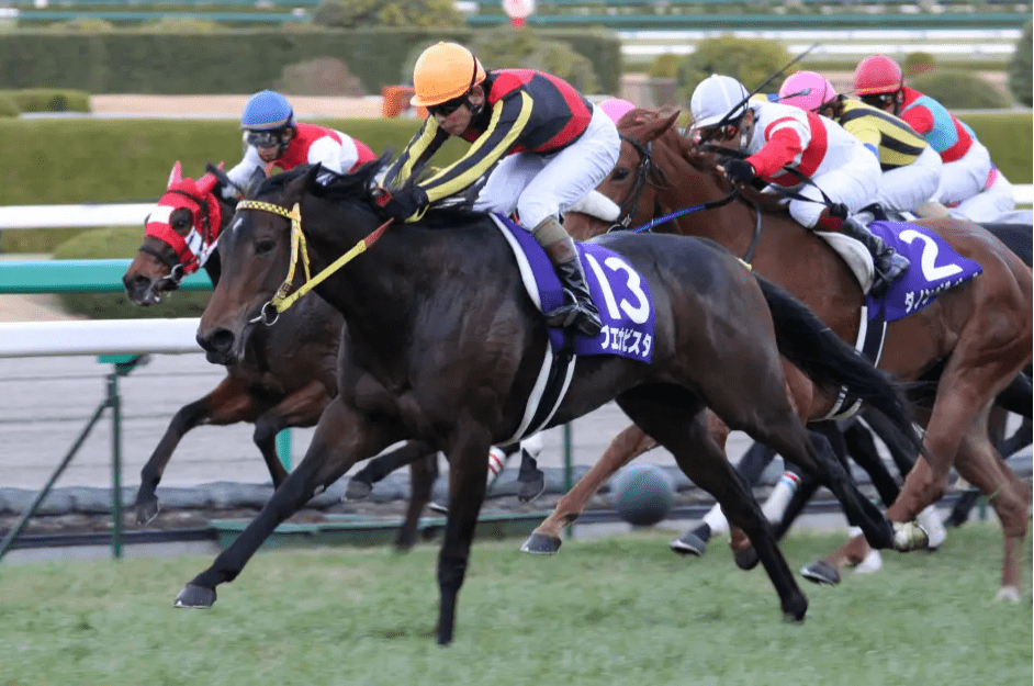 shuttle)草上飞(grass wonder▼黄金巨匠(orfevre)栗毛中有名的赛马