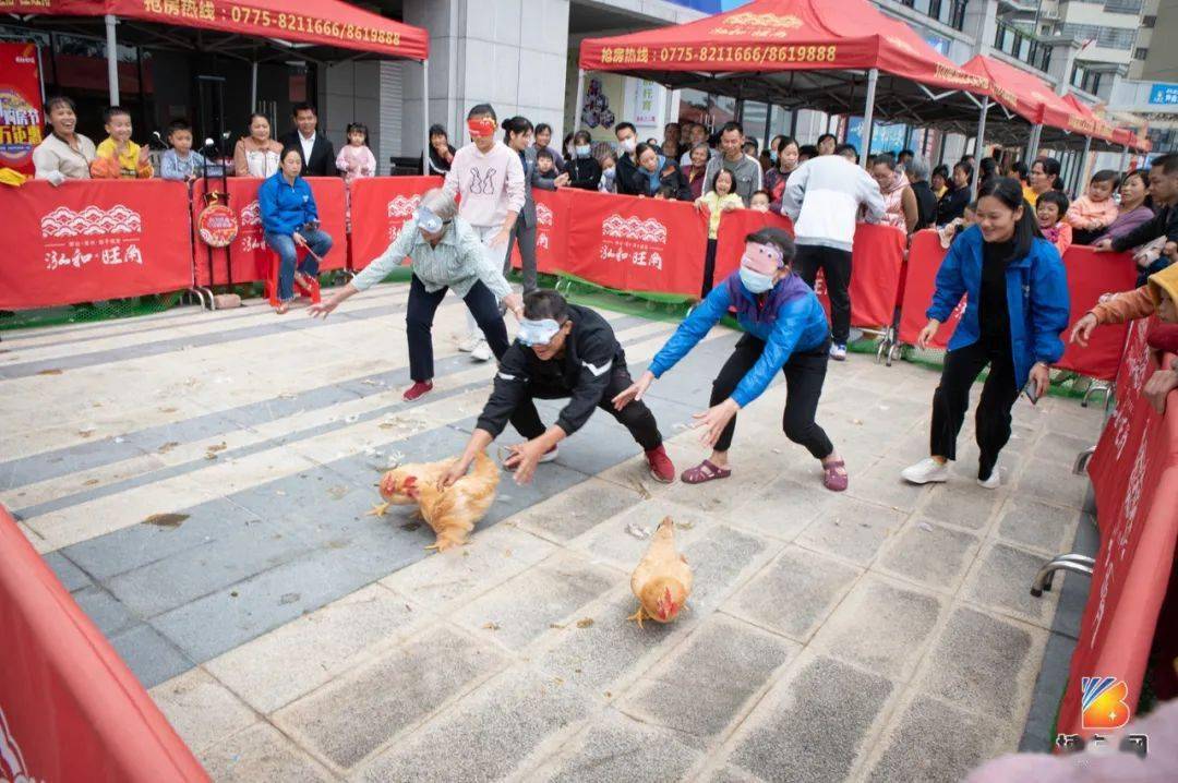 太好玩了博白这里近百只活鸡任抓抓到就有鸡汤喝啦