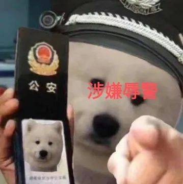 被指辱警拘留9日在微信群里发"狗狗警察"表情包宁夏一男子不满疫情