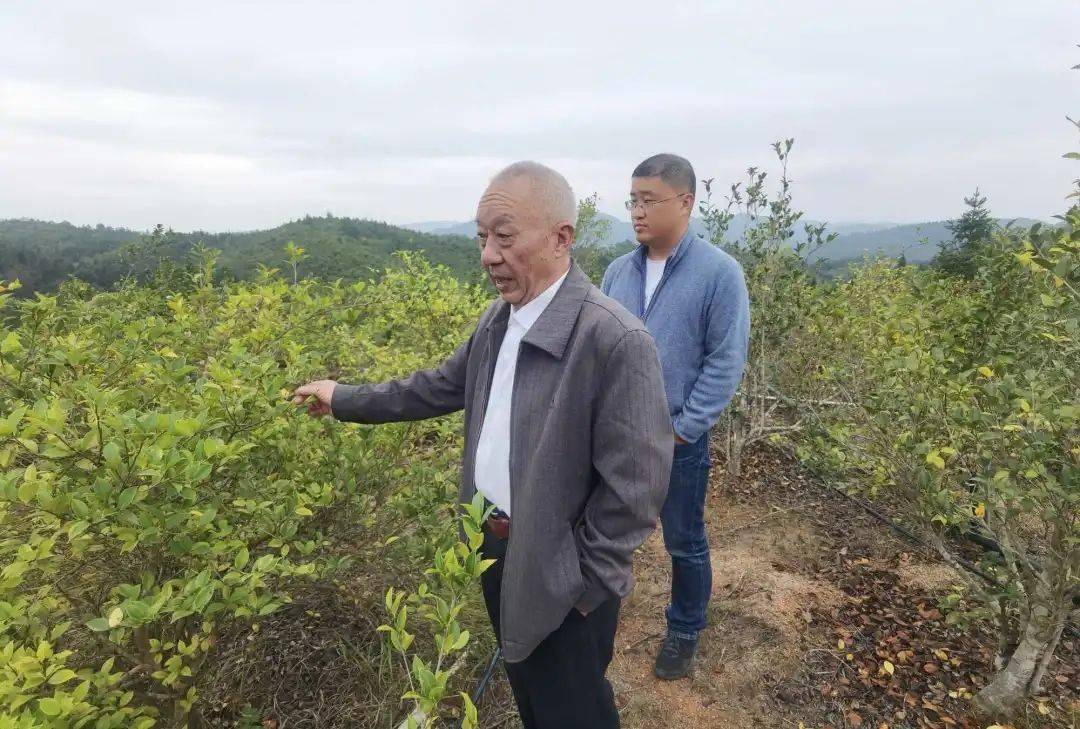 央媒看龙岩 老区红色热土上治理荒山的"父子兵"_慕洪