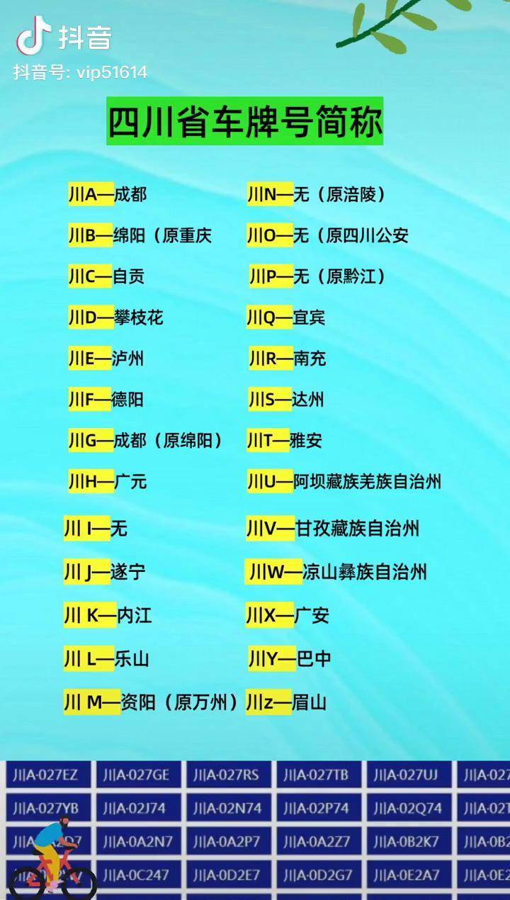 四川省各市车牌号简称，99的四川人不知道四川车牌学车驾考考驾照