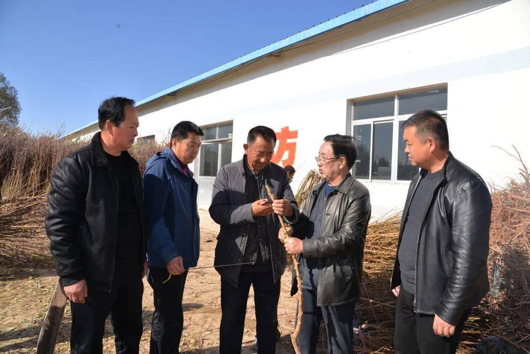 11月11日,由靖边县科技创新服务中心从新疆库车市,轮台县引进的1.