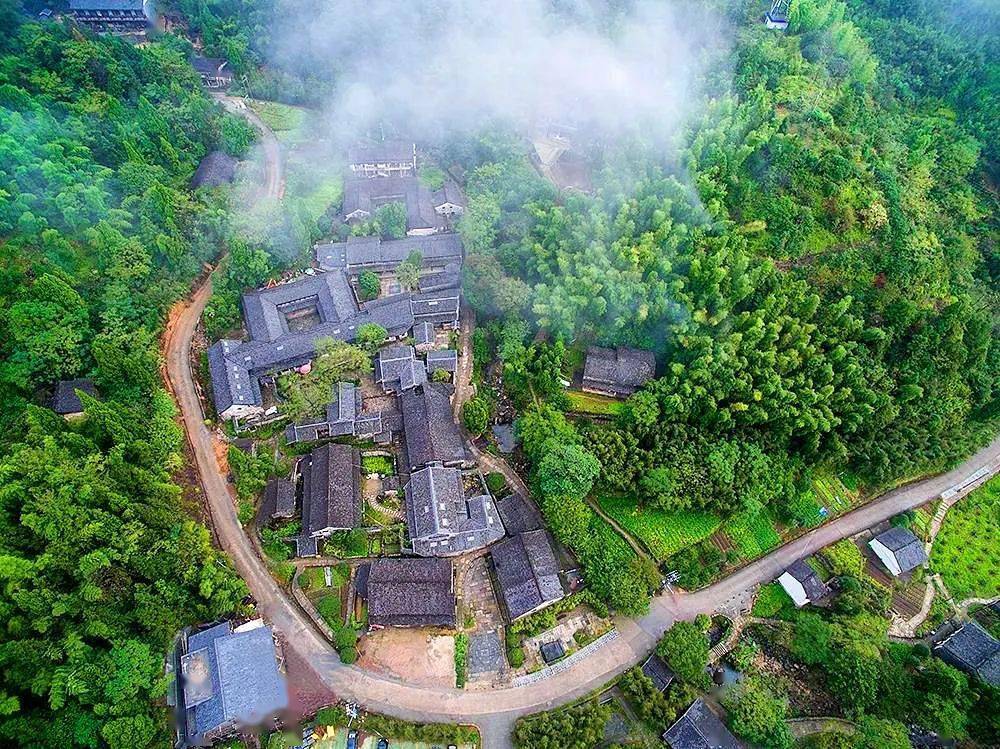 诗画江南橘满城,这里是橘乡黄岩!