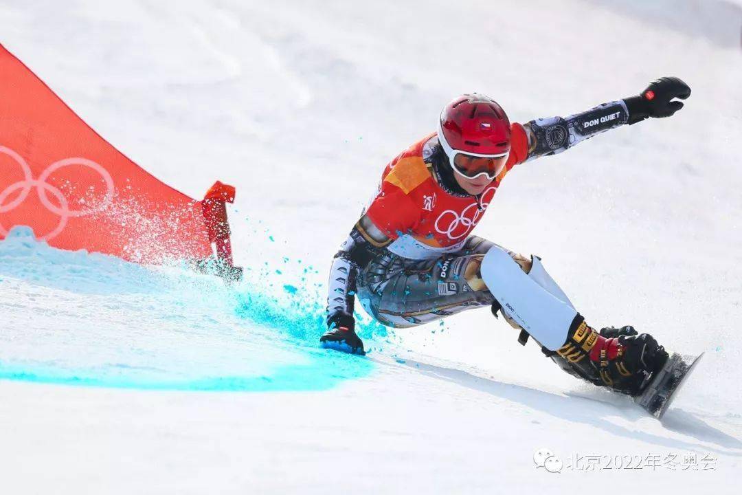 冬奥竞赛项目知识(三):单板滑雪_障碍